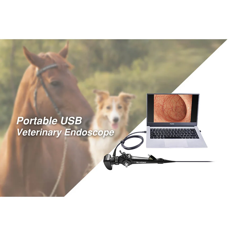 Portable USB Veterinary Endoscope