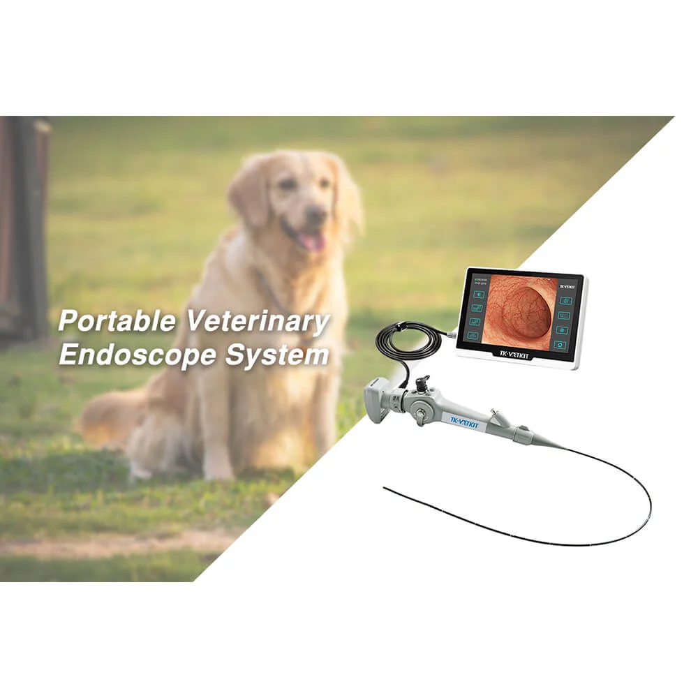 Portable Veterinary Endoscope System