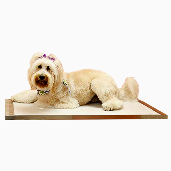 Exam-Table-Cover-600px